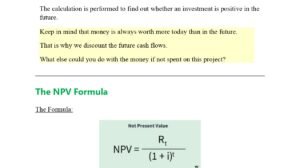 How To Calculate NPV Using Excel Pdf Guide